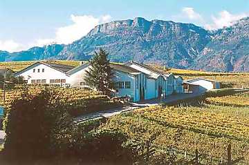 A view of Produttori
Colterenzio - Schreckbichl winery
