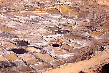 Salt-works in Ténéré Desert
(Niger)