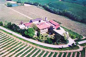 Una veduta dall'alto delle Cantine
Tre Monti