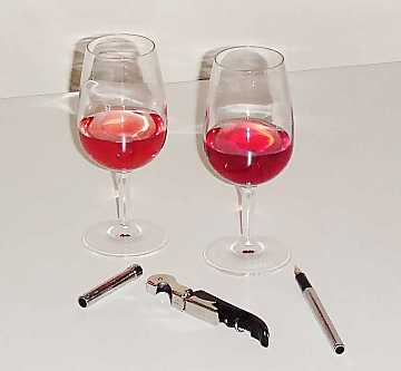 Un momento della degustazione
comparativa dei vini rosati