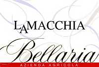 La Macchia 2000, Bellaria (Lombardia, Italia)
