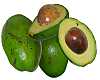 Avocado fruits