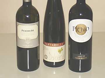 The three Verdicchio wines of
our comparative tasting