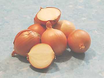 Onion is one of the most used vegetables
in cooking