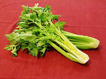 Found in every country of the world, celery
is a common ingredient in many dishes