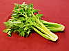 Found in every country of the world, celery is a common ingredient in many dishes