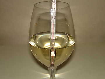 Sensorial tasting of white wines is
done at a temperature higher than the one used in service