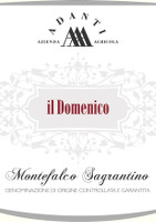 Sagrantino di Montefalco Il Domenico 2007, Adanti (Umbria, Italia)
