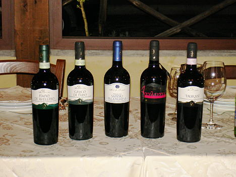 The five wines of Colle di San Domenico tasted during the event