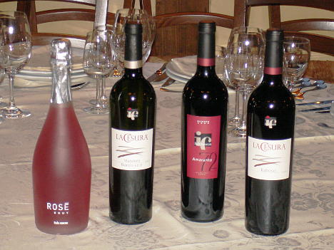 Italo Cescon's  wines tasted during the event