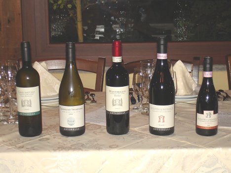 The five wines of Antonelli San Marco tasted during the event