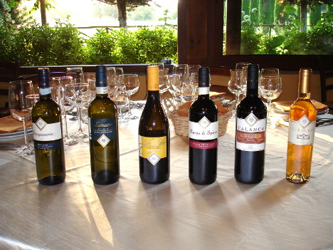 I sei vini della Tenuta Le Velette degustati nel corso dell'evento