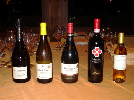 The five wines of Umani Ronchi winery tasted during the event