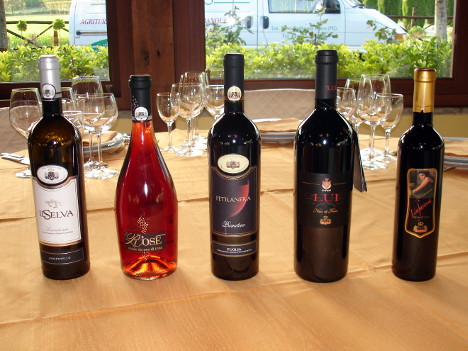 The five wines of Albea tasted during the event
