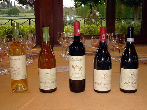 The five wines of Giovanni Ederle tasted during the event