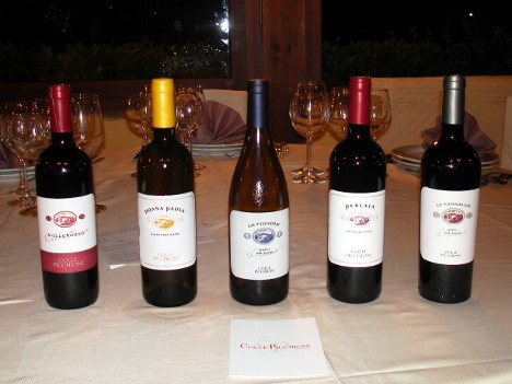 The five wines of Colle Picchioni tasted during the event