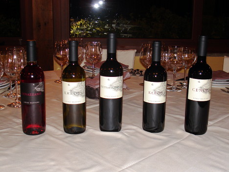 The five wines of Luigi Maffini tasted during the event