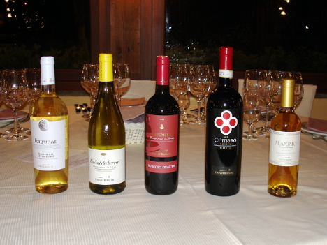The five wines of Umani Ronchi tasted during the event