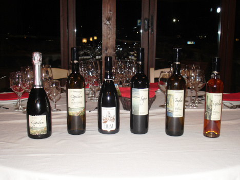 The six wines of Sant'Andrea Winery tasted in the course of the evening