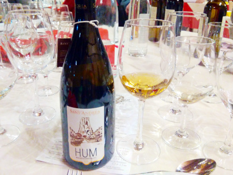 The noble golden robe of the magnificent Moscato di Terracina HUM 2014