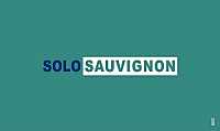 Solo Sauvignon 2004, Cantine San Marco (Italy)