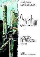 Capitolium 2005, Sant'Andrea (Italia)