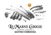 Langhe Rosso Le Marne Grigie 2010, Matteo Correggia (Italy)
