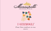 I Germogli Rosa 2013, Monsupello (Italy)