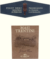 Trentino Superiore Pinot Nero Masi Trentini 2013, Cavit (Italia)