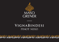 Trentino Pinot Nero Vigna Bindesi 2013, Maso Grener (Italia)