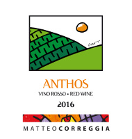 Anthos 2016, Matteo Correggia (Italia)