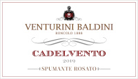 Reggiano Lambrusco Spumante Rosato Cadelvento 2019, Venturini Baldini (Italia)