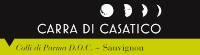Colli di Parma Sauvignon Spumante Brut 2022, Carra di Casatico (Italia)