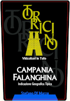 Falanghina 2022, Torricino (Italy)