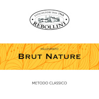 Oltrepo Pavese Metodo Classico Brut Nature 2017, Rebollini (Italy)