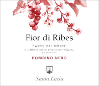 Castel del Monte Bombino Nero Fior di Ribes 2022, Santa Lucia (Italy)